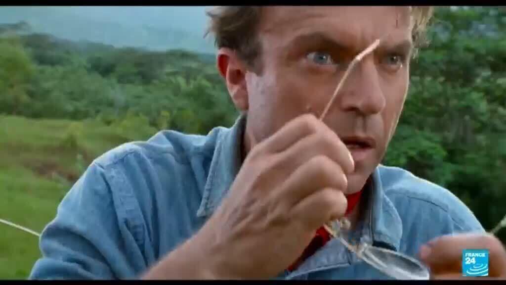Video thumbnail for Jurassic Park, The Piano, The Tudors... New Zealand actor Sam Neill dies at 78