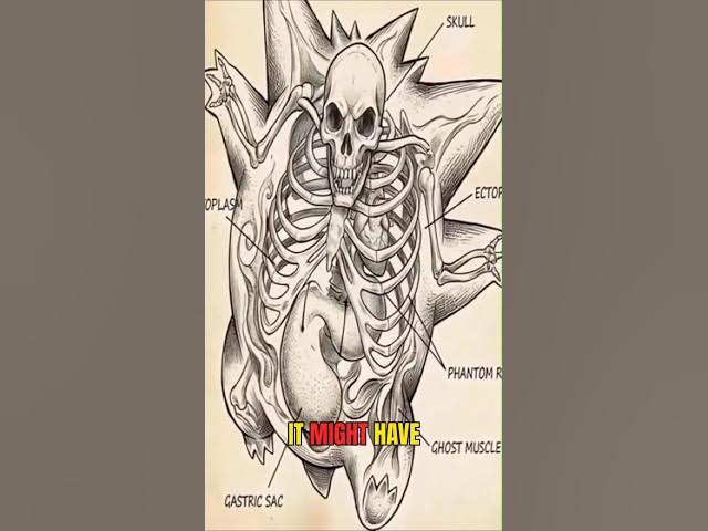 Video thumbnail for What's Actually Inside Gengar #pokemon #anatomy #shorts
