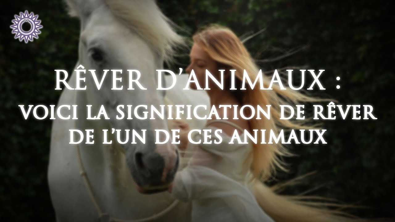 Video thumbnail for 💫 RÊVER D'ANIMAUX : Signification des rêves et interprétation 🐶