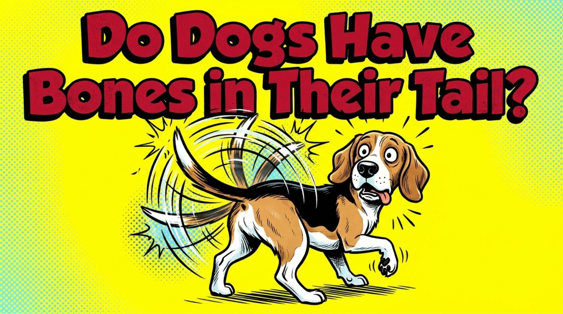 Video thumbnail for Do Dogs Have Bones in Their Tails?