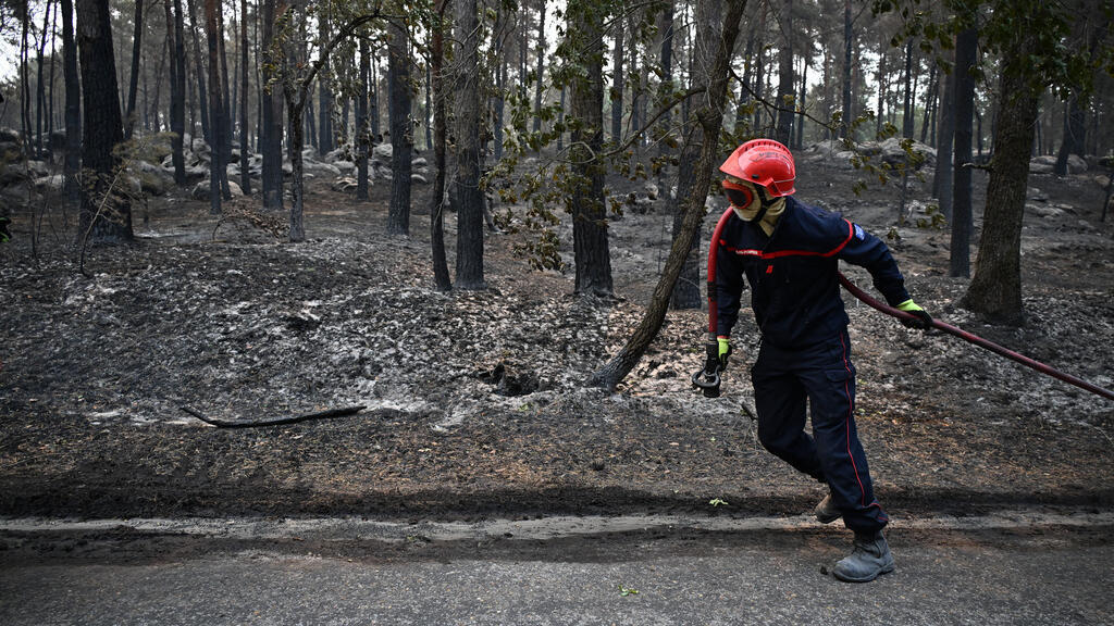 Video thumbnail for As the smoke clears, the Fontainebleau forest takes stock of its destruction