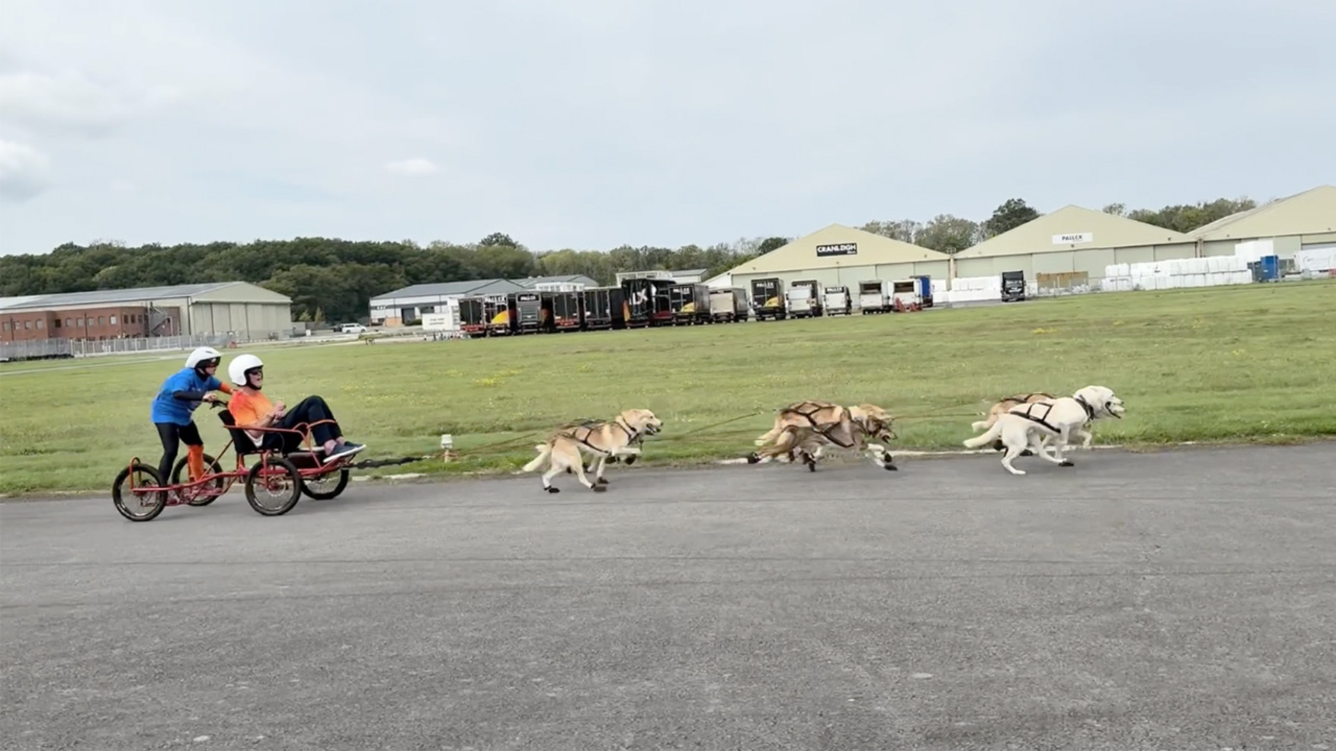 Video thumbnail for Greatest distance for a two-person vehicle pulled by dogs in one minute  568.57 m (1,65.38 ft) by Vickie Pullen and Paul Jameson