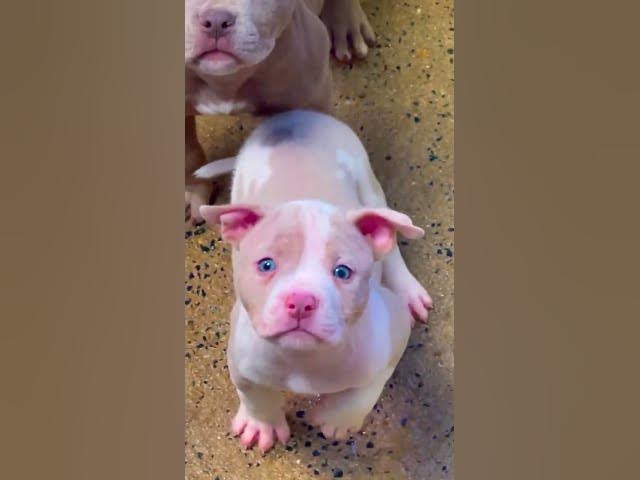 Video thumbnail for 2 March 2025