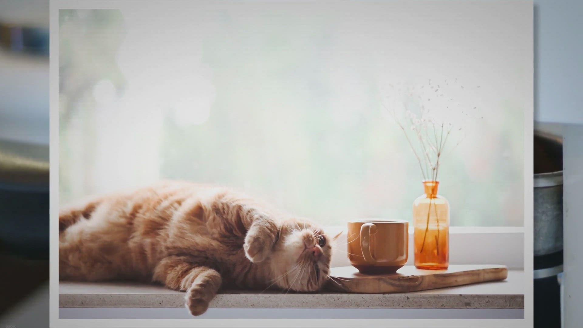 Video thumbnail for Watch Video Instead!(If in a hurry)