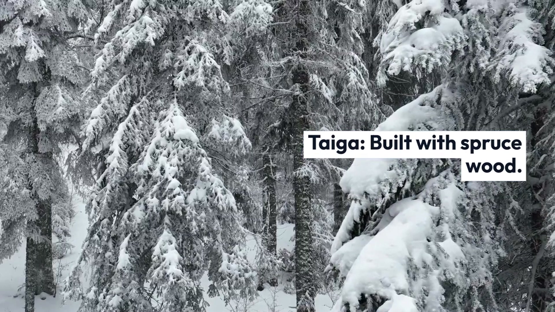 Video thumbnail for Finding_Villages_in_Minecraft