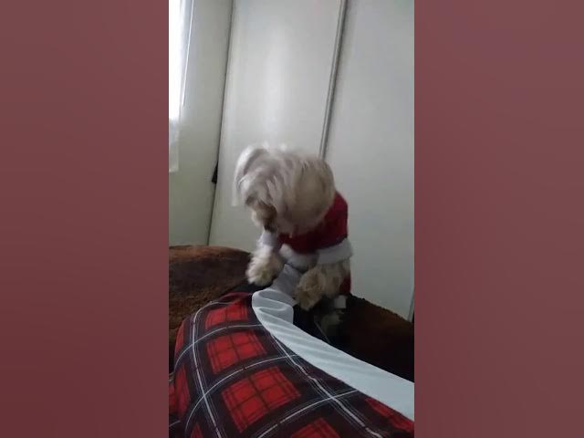 Video thumbnail for London gettin it