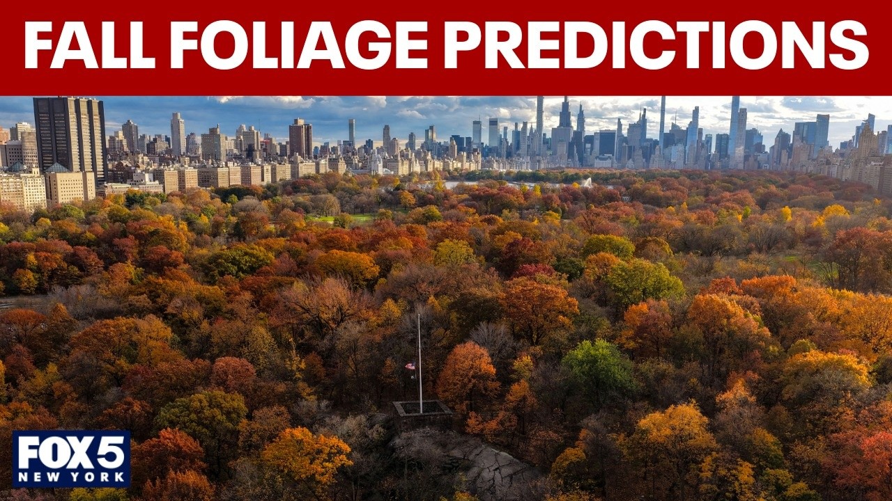 Video thumbnail for Fall foliage predictions for NYC: When will the leaves change colors?