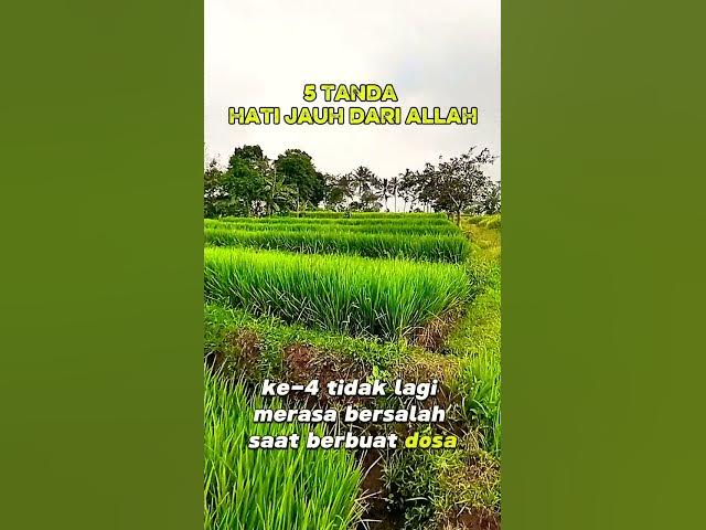 Video thumbnail for 5 Tanda hati jauh dari Allah#lenterahati #shortsmotivasi #motivasiislami