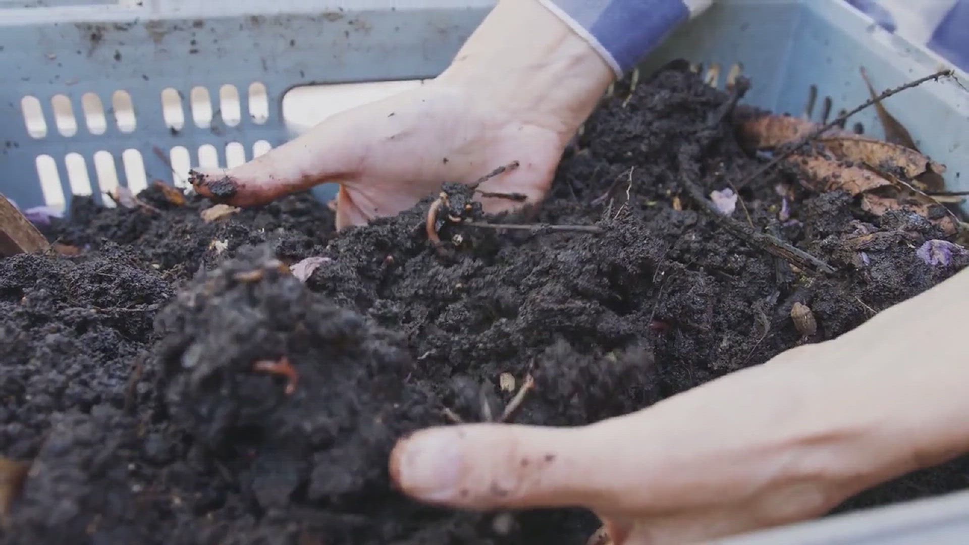 'Video thumbnail for Tips for Growing Asparagus in the Backyard Garden'