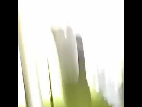 Video thumbnail for Chris Bender Singing At Holy Tabernacle Tent Revival