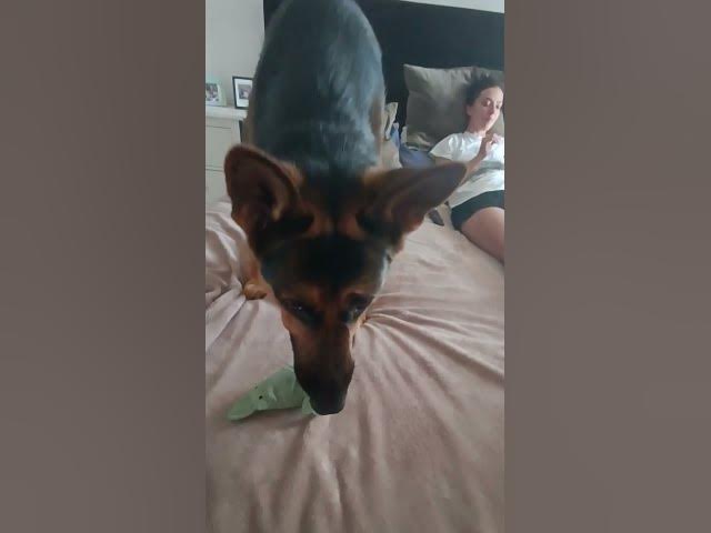 Video thumbnail for GSD 101 VID 20230917 153850