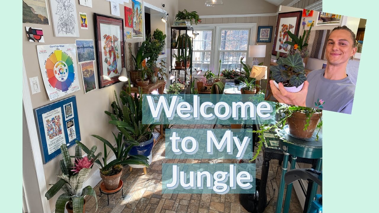 Video thumbnail for Welcome to my Houseplant Jungle