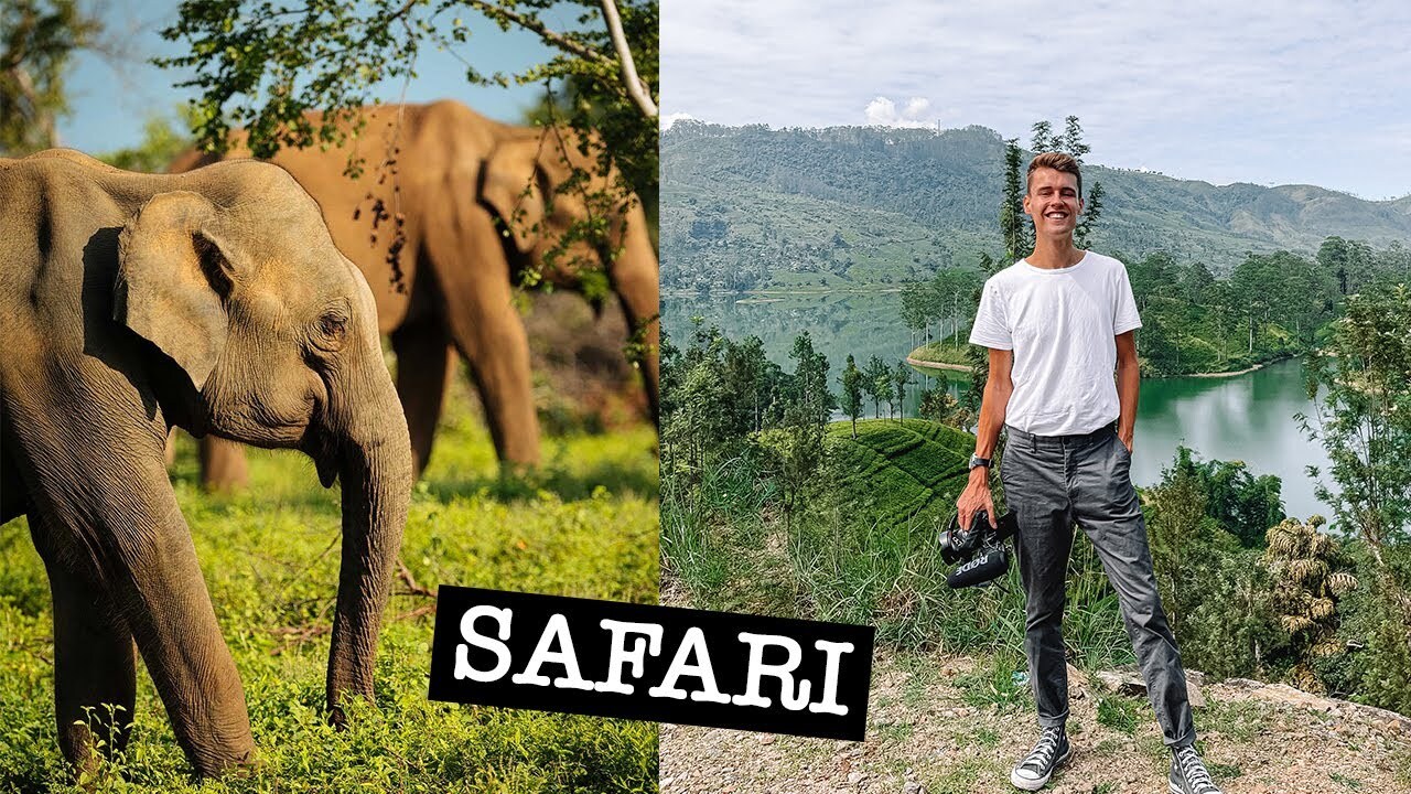 Video thumbnail for EPIC SAFARI in NORTHERN SRI LANKA | Wilpattu National Park