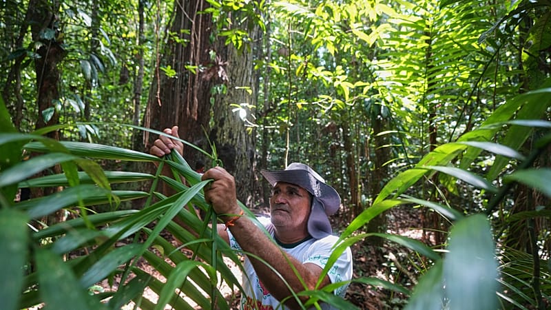 Video thumbnail for Communities of slave descendants in Brazil demand recognition of territories and livelihood
