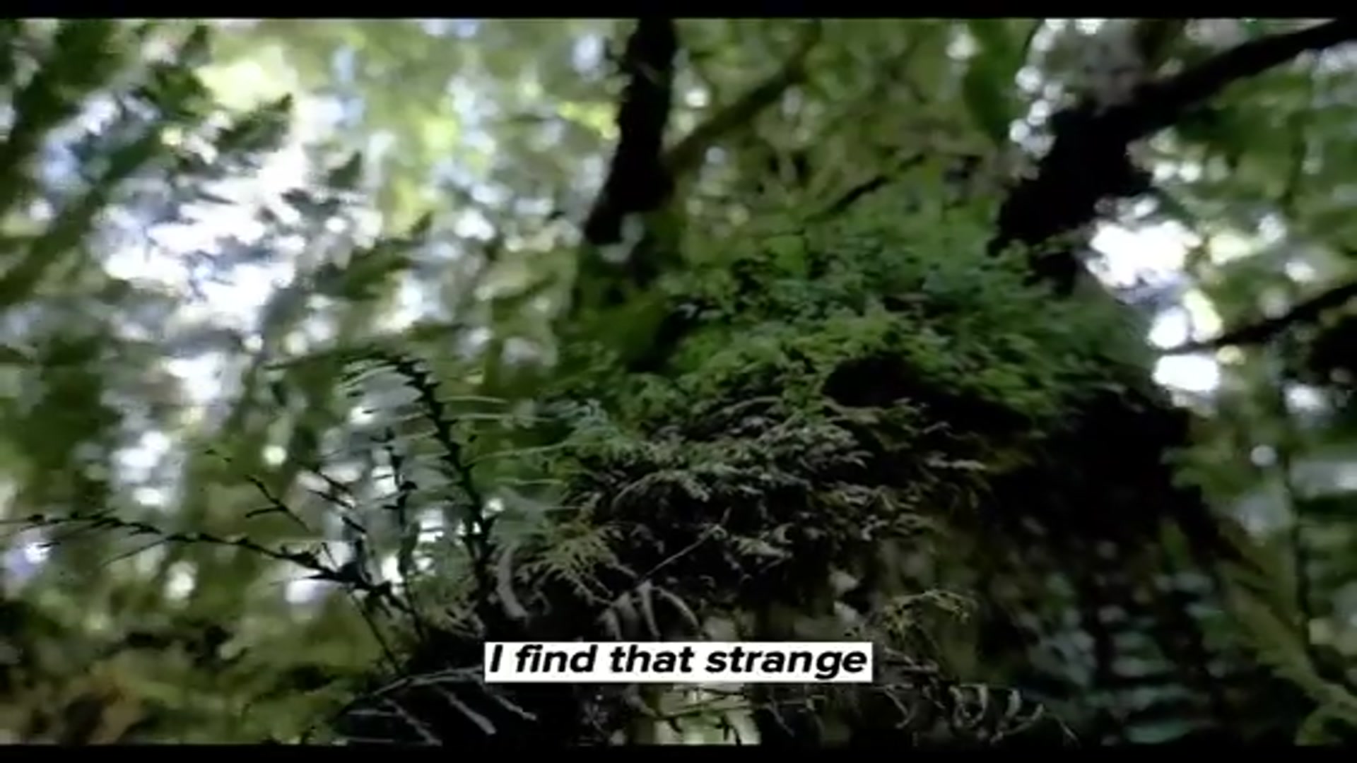 Video thumbnail for How to Love Yourself to the Core