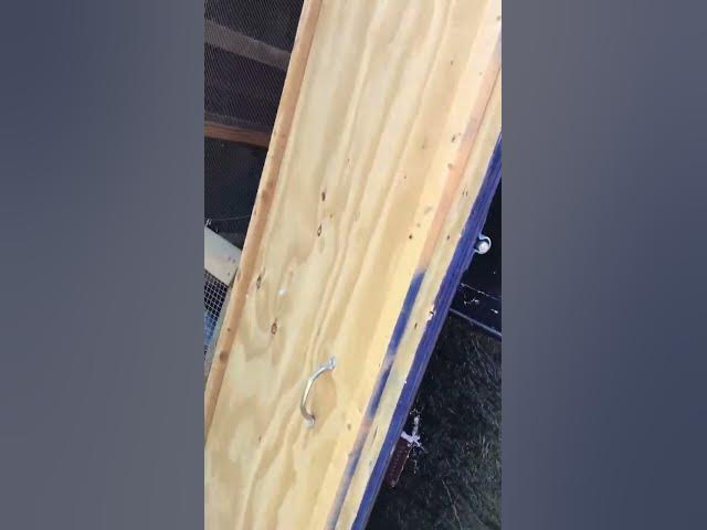 Video thumbnail for February 6, 2024