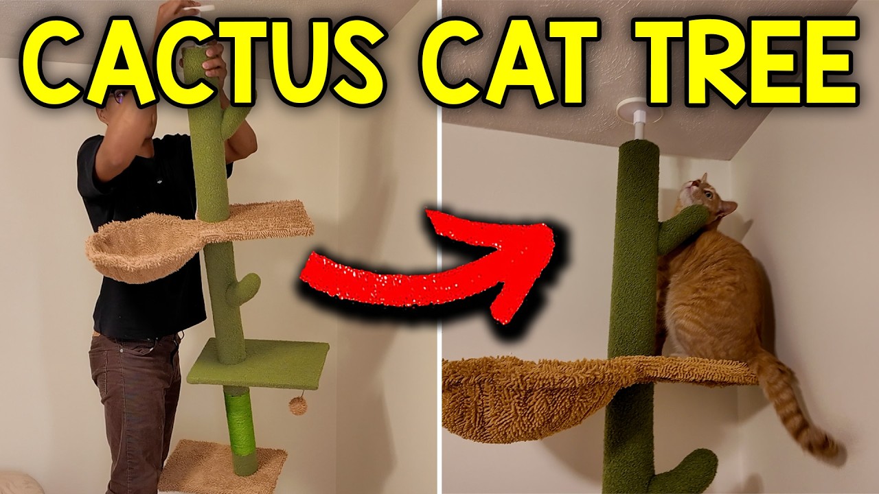 Video thumbnail for How To Assemble The PAWZ Road Cactus Cat Tree