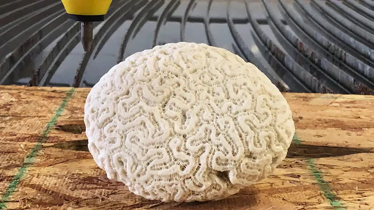 Video thumbnail for Jewelry Making with Waterjet Cutter: Brain Coral Rings