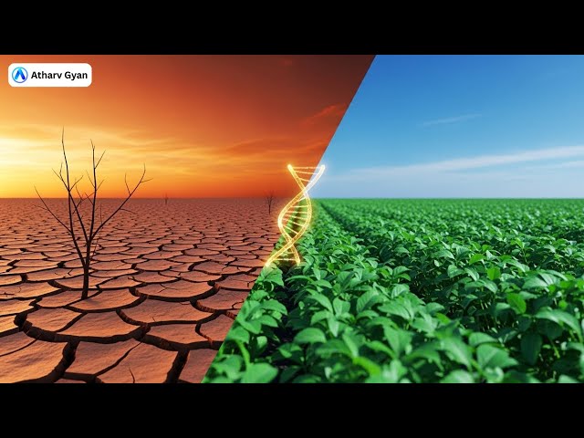 Video thumbnail for Sustainable Agriculture Through Bio Augmentation Tech