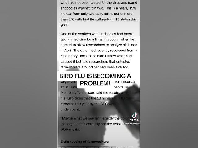 Video thumbnail for BIRD FLU IS GOING UNDETECTED! 😱THIS IS A PROBLEM! #youtube #birdflu #august #summer