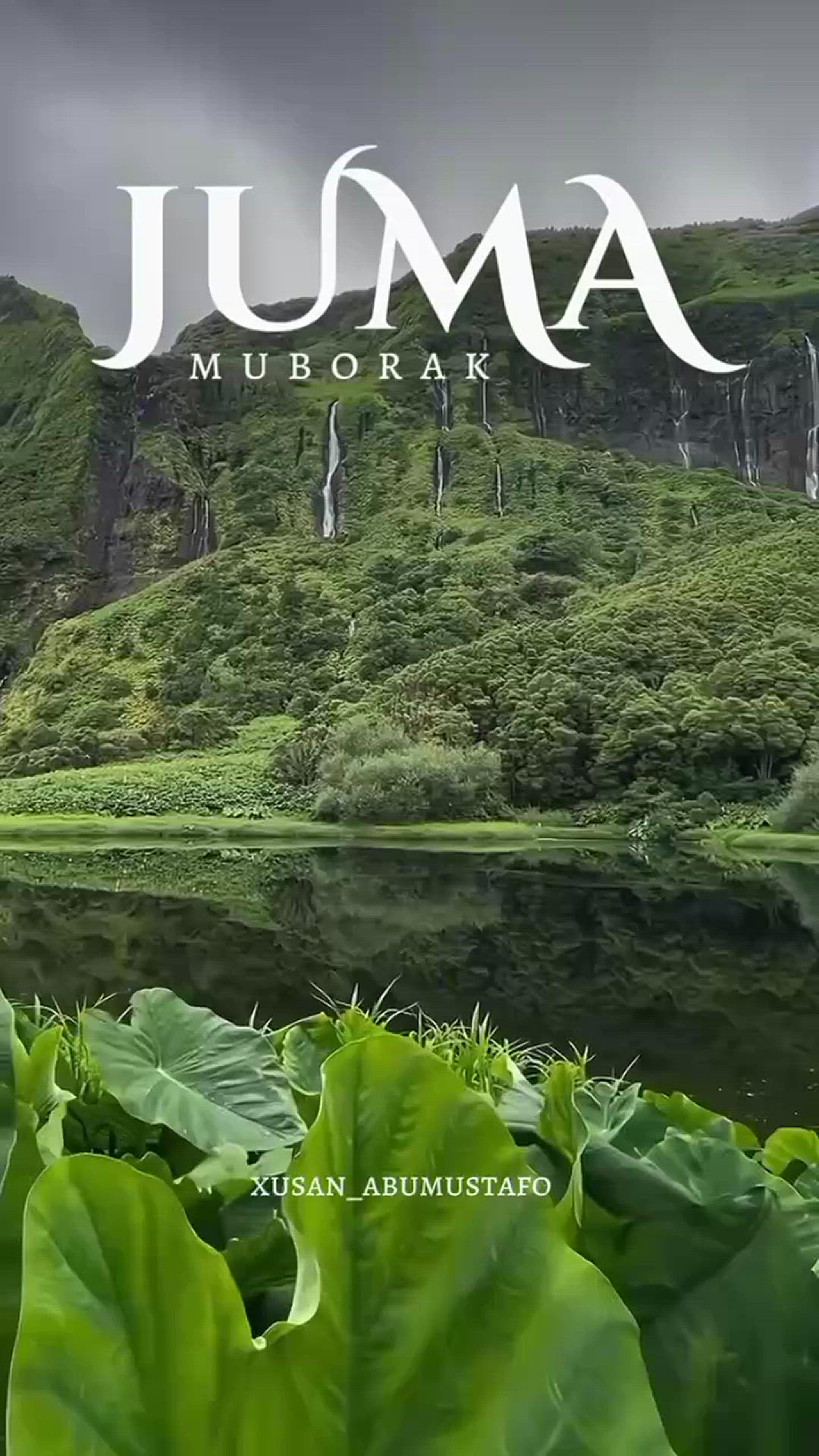 Video thumbnail for VID_96740814_005115_992