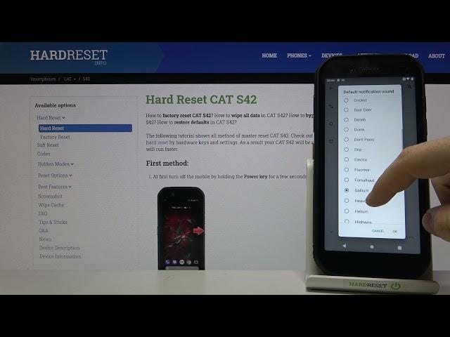Video thumbnail for Notification Sounds on CAT S42 – Default Notification Sounds