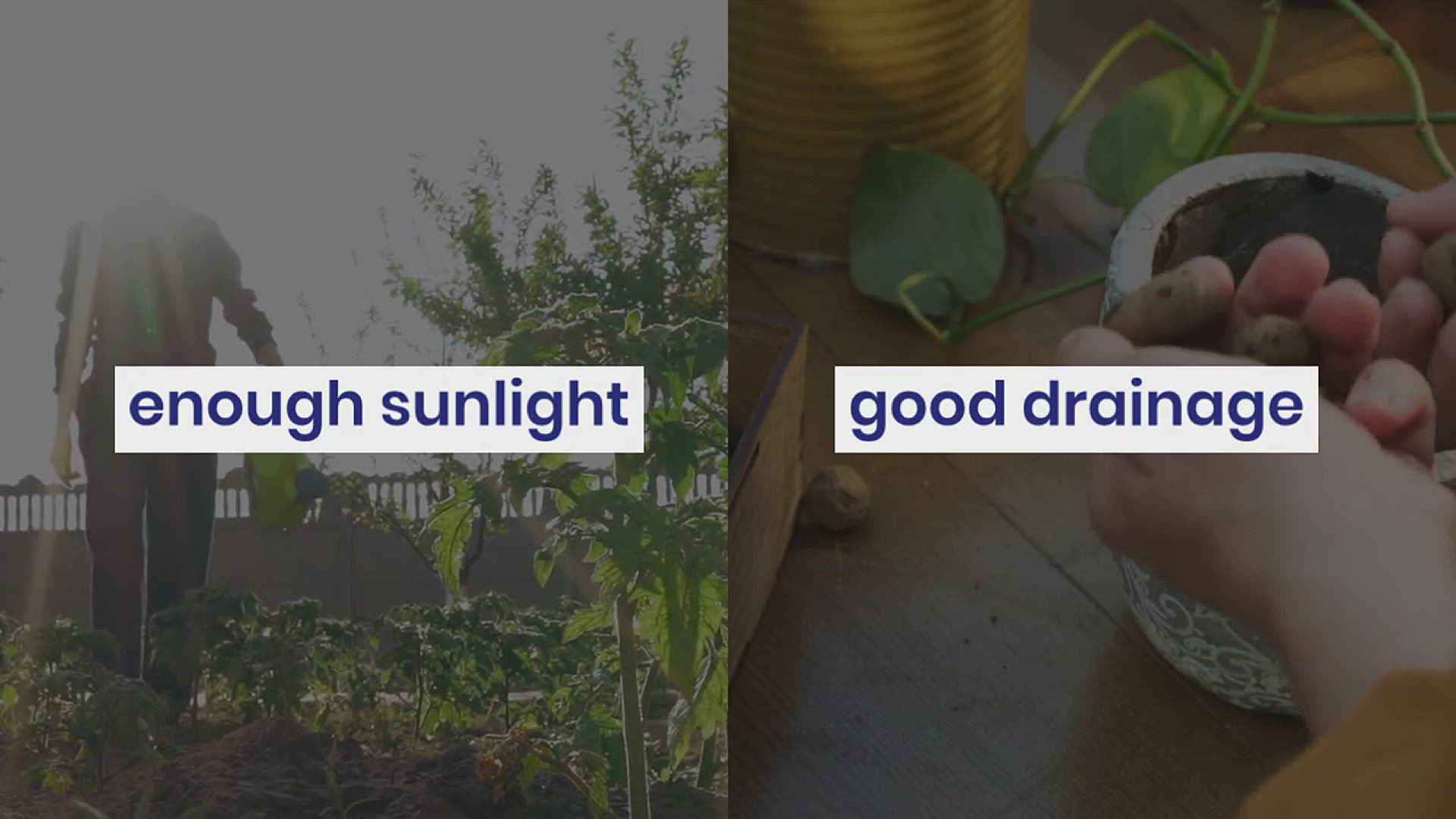 'Video thumbnail for Corner Garden Ideas'