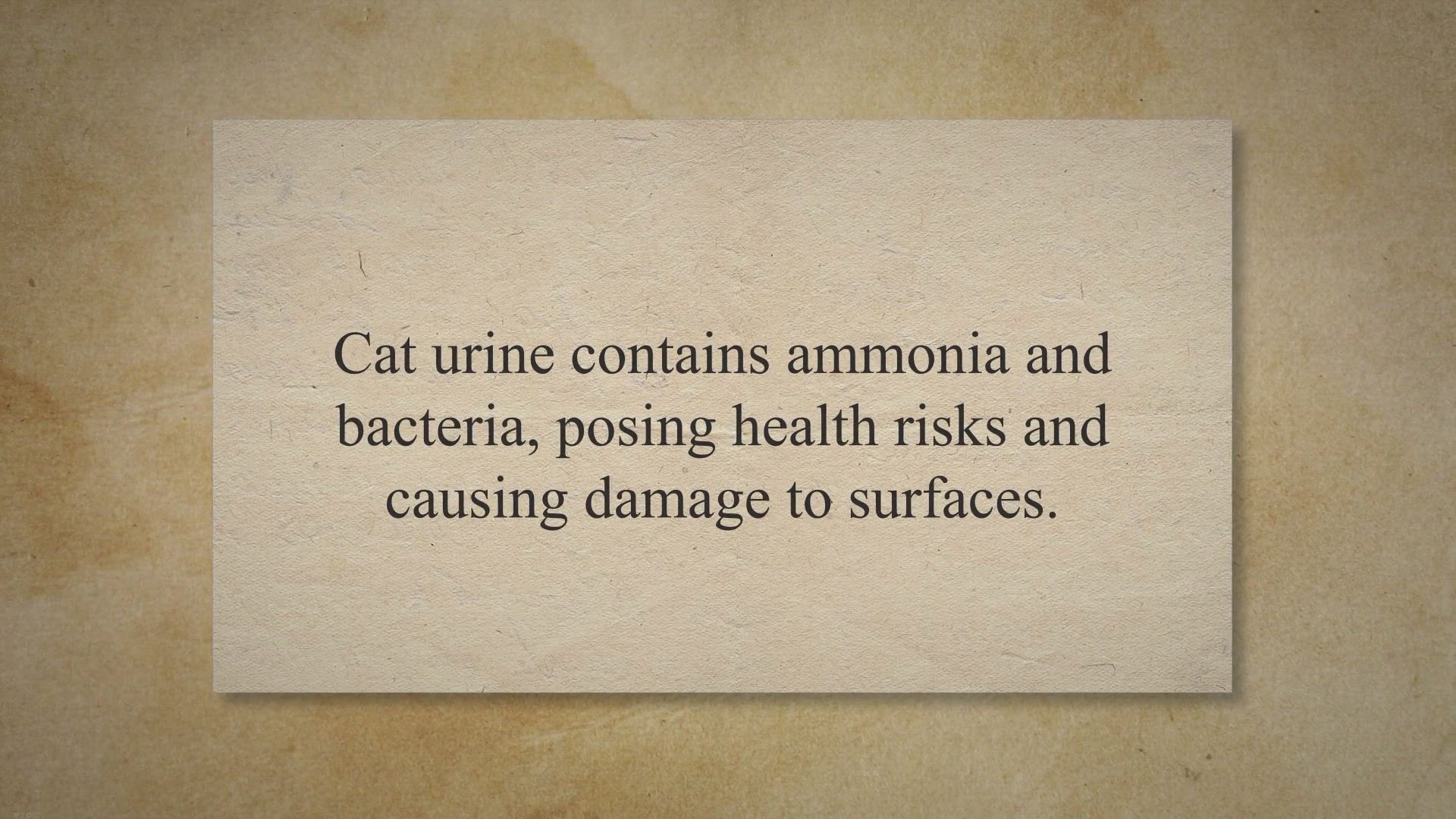 Video thumbnail for How To Use Listerine To Remove Cat Urine Odor - All About Cats