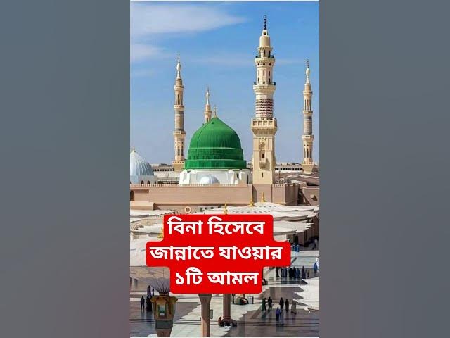 Video thumbnail for বিনা হিসেবে জান্নাতে যাওয়ার ১টি আমল#shorts #viral#sheikh_ahmadullah#islamicalortips