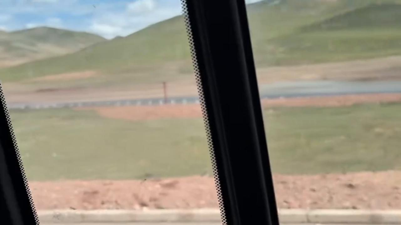 Video thumbnail for China: Tibetan bears in China run alongside car on mountain road.