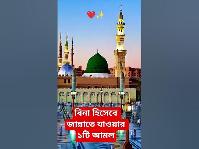 Video thumbnail for বিনা হিসেবে জান্নাতে যাওয়ার ১টি আমল#shorts #viral#sheikh_ahmadullah#islamicalortips