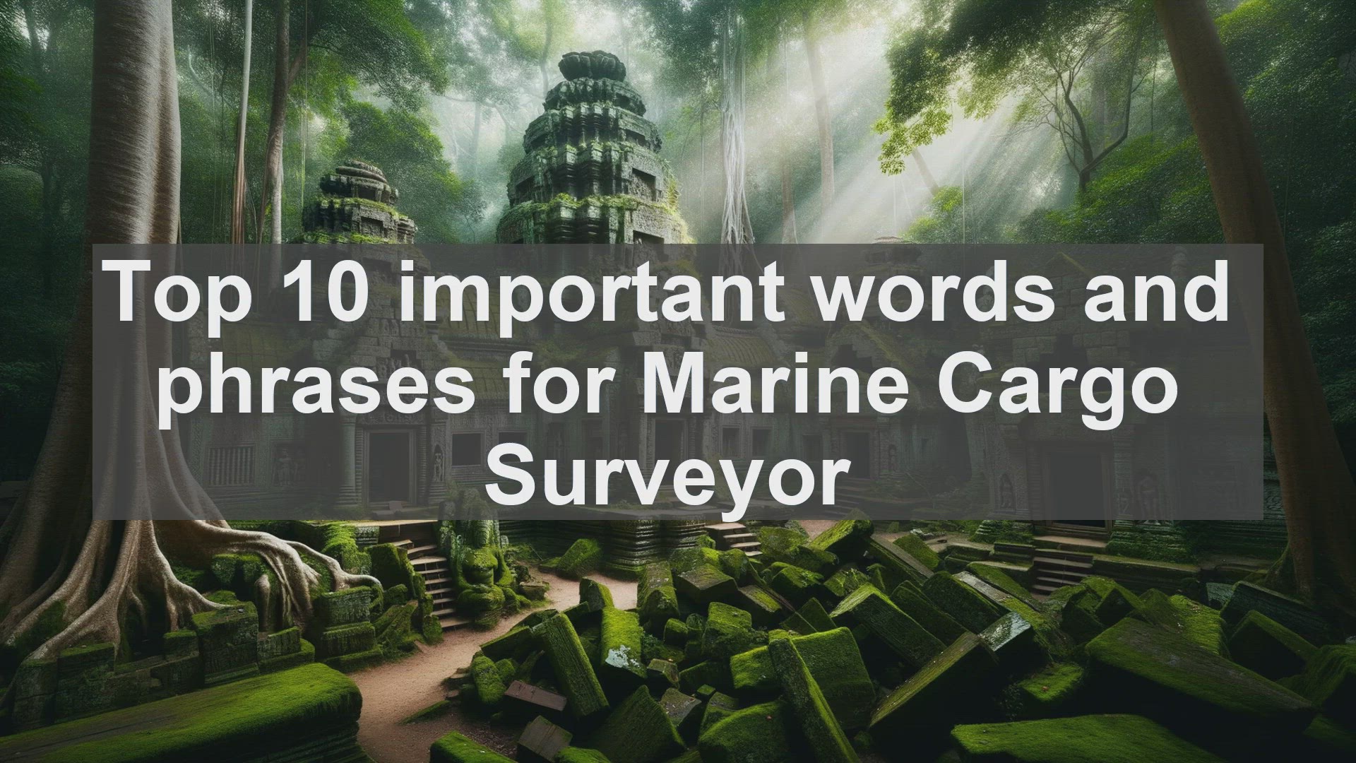 'Video thumbnail for Top 10 important words and phrases for Marine Cargo Surveyor'