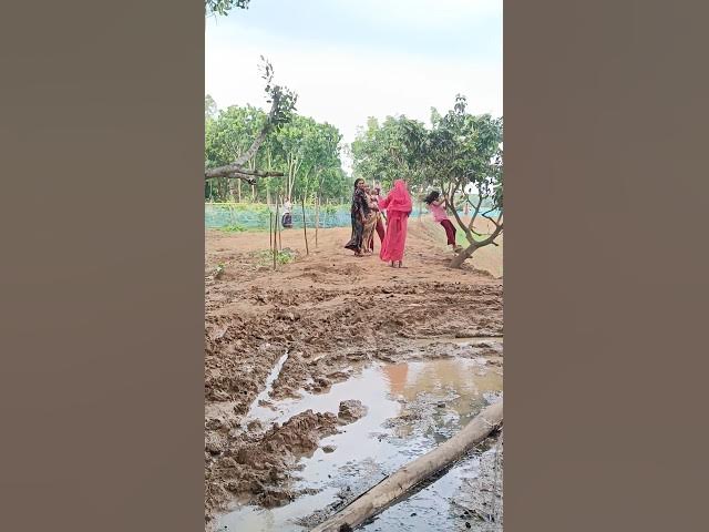 Video thumbnail for গ্রামের প্রাণ জুড়ানো আবহাওয়া #shorts