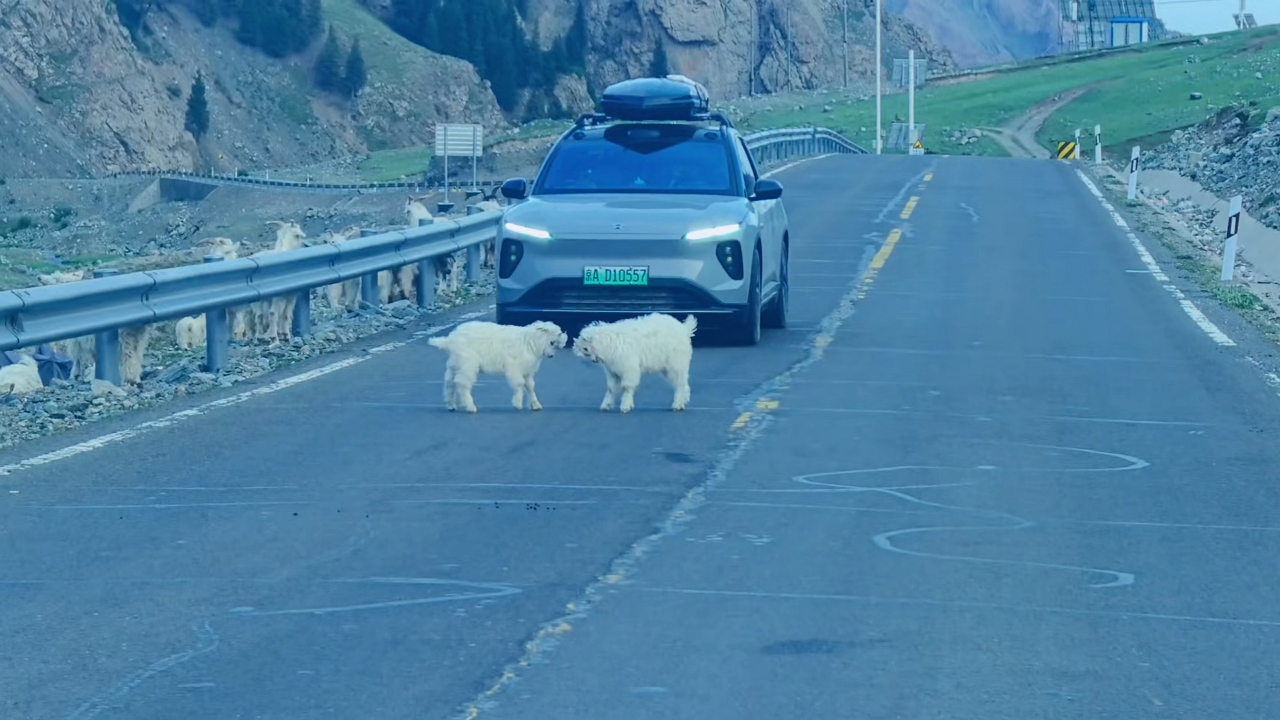 Video thumbnail for Mountain Goat Kids Clash on Xinjiang Road