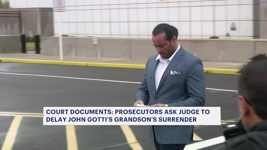 Video thumbnail for Court documents: Prosecutors ask judge to delay John Gotti’s grandson's surrender to donate kidney