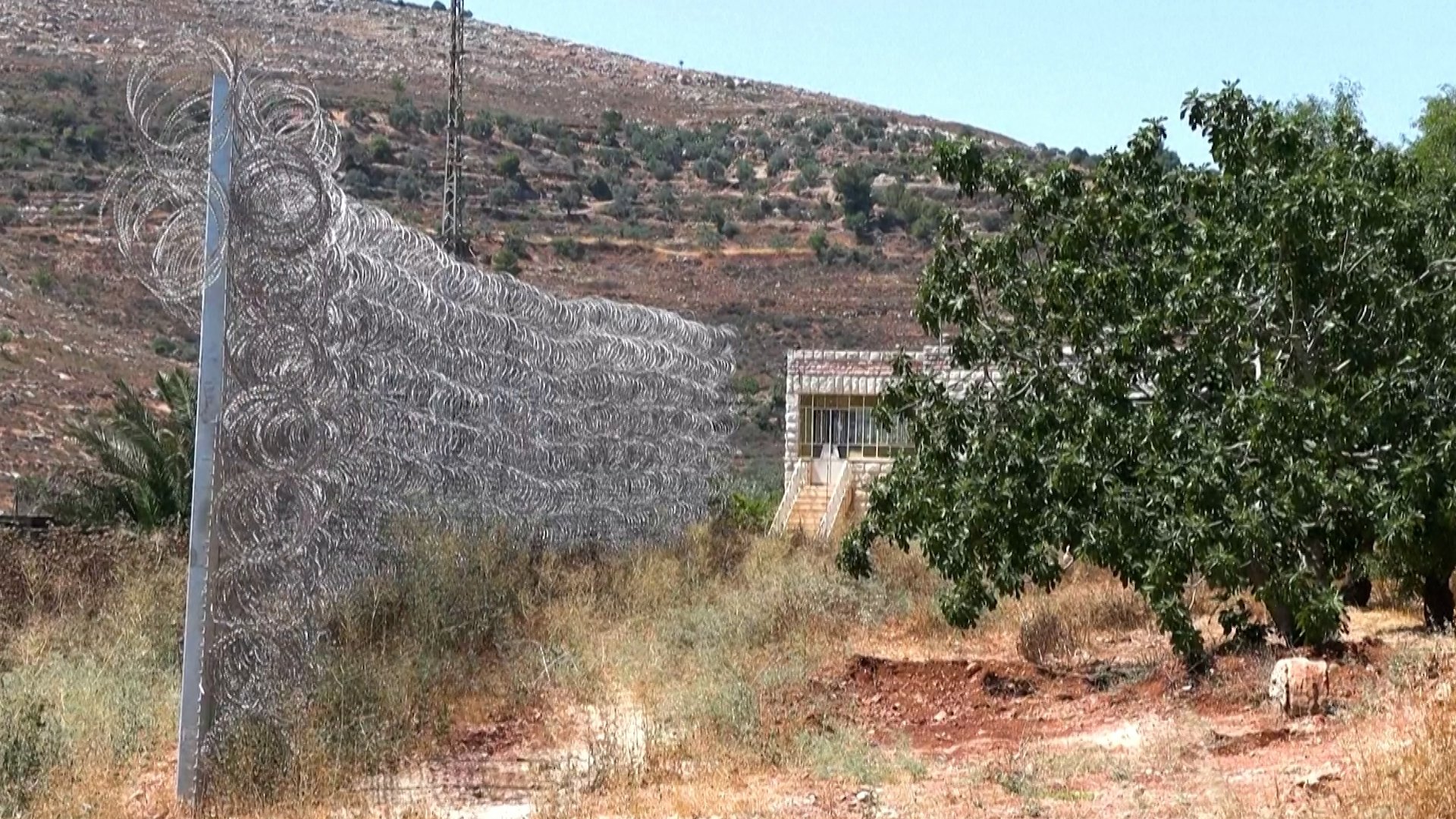 Video thumbnail for Israeli settlers attack Sinjil town in occupied West Bank