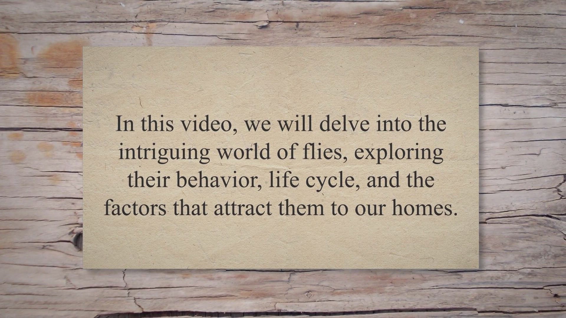 Video thumbnail for Unveiling the Secrets: What Attracts Flies to Your Home and How to Keep Them at Bay