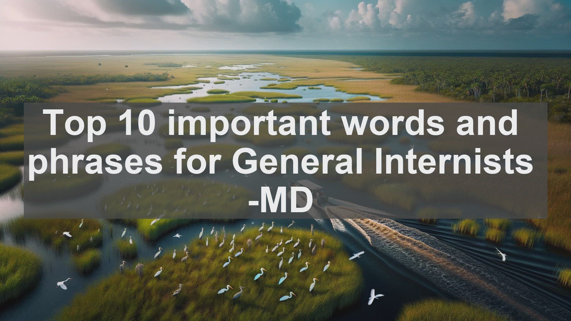 'Video thumbnail for Top 10 important words and phrases for General Internists MD'