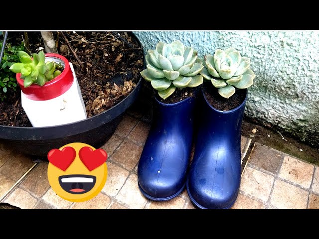 Video thumbnail for Vasos criativos de sapatos velhos