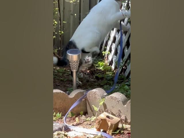 Video thumbnail for September 20, 2025