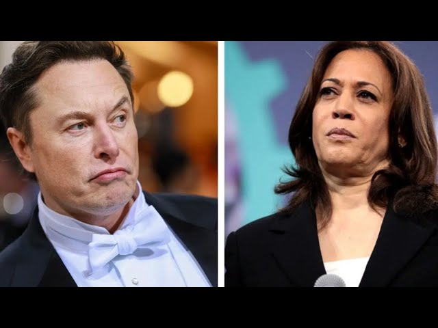 Video thumbnail for Elon Musk Shreds Kamala Harris For Saying Hurricane Ian Relief Should Be Race-Based