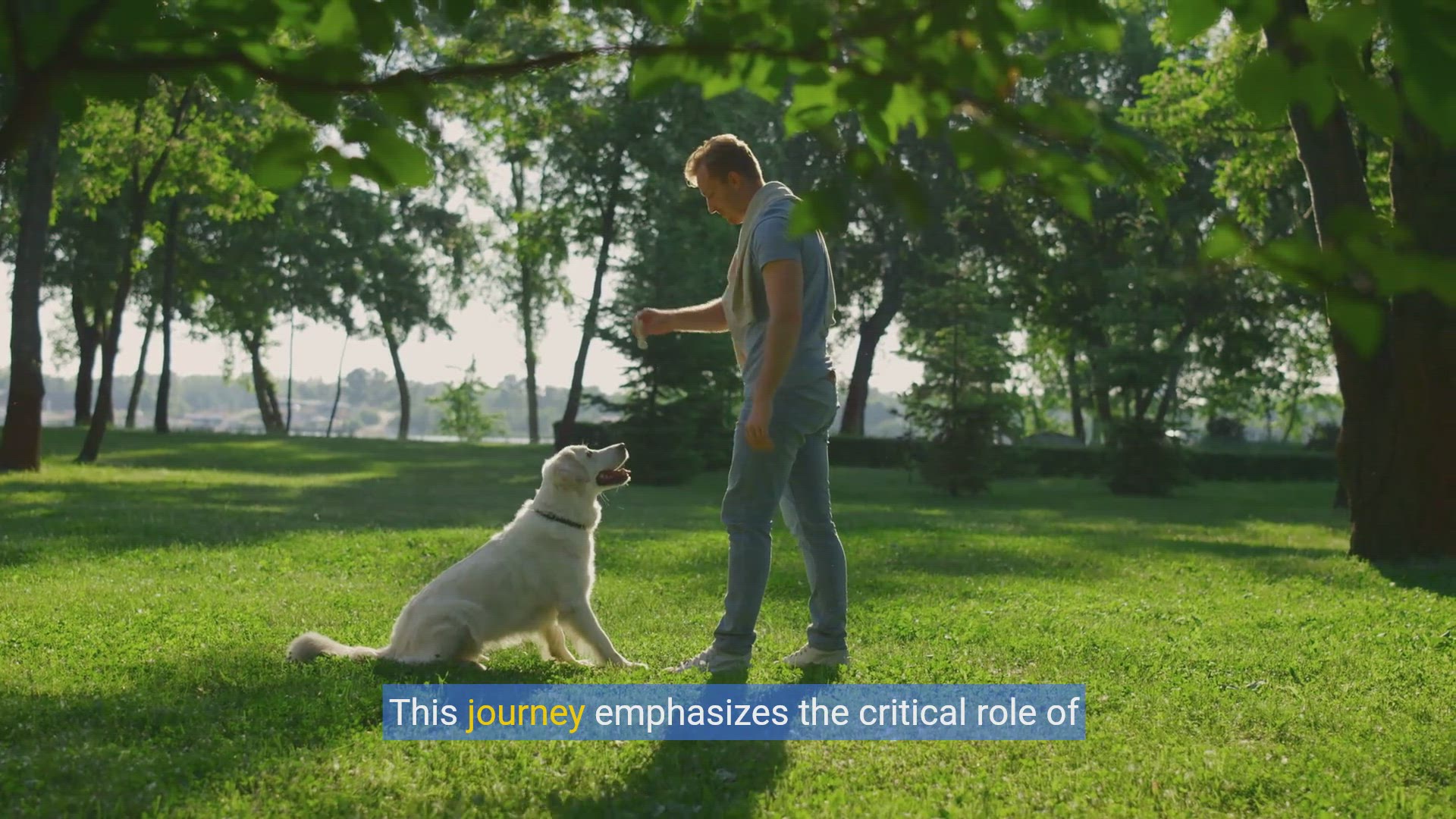 'Video thumbnail for Mastering Basic Commands: A Dog Training Guide for Beginners'