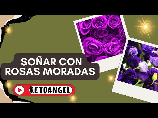 'Video thumbnail for El Significado de Soñar con Rosas Moradas: Interpretación y Simbolismo'