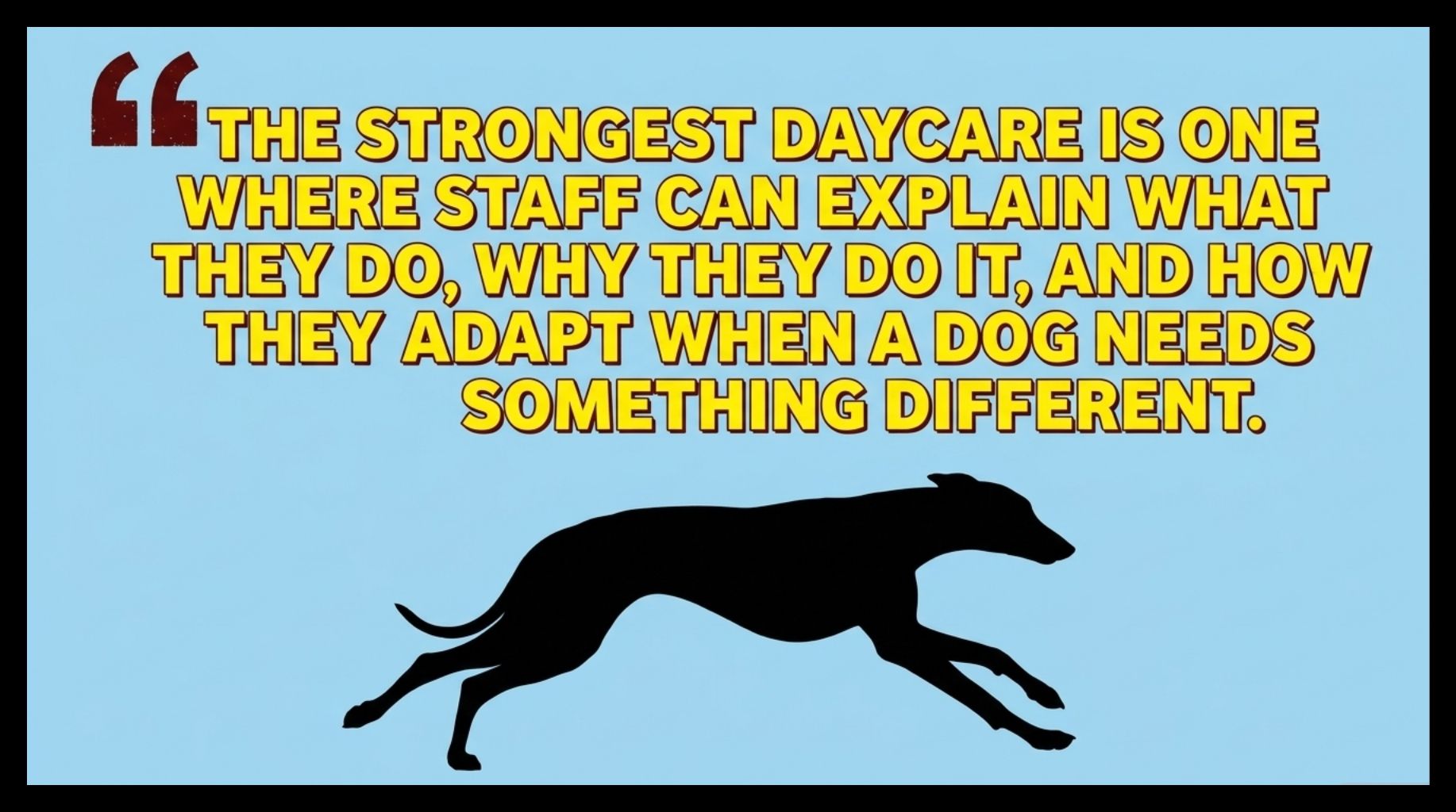 Video thumbnail for How to Evaluate a Dog Daycare Facility?