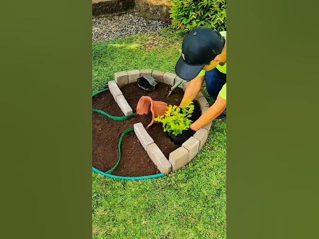 Video thumbnail for Comment décorer son jardin à la maison Partie 2 #conseilsplantes #plantesfaciles #jardinage #jardin