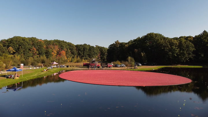 Video thumbnail for From Cranberries to Couture? Ocean Spray’s CEO on Its Bold Fashion Move