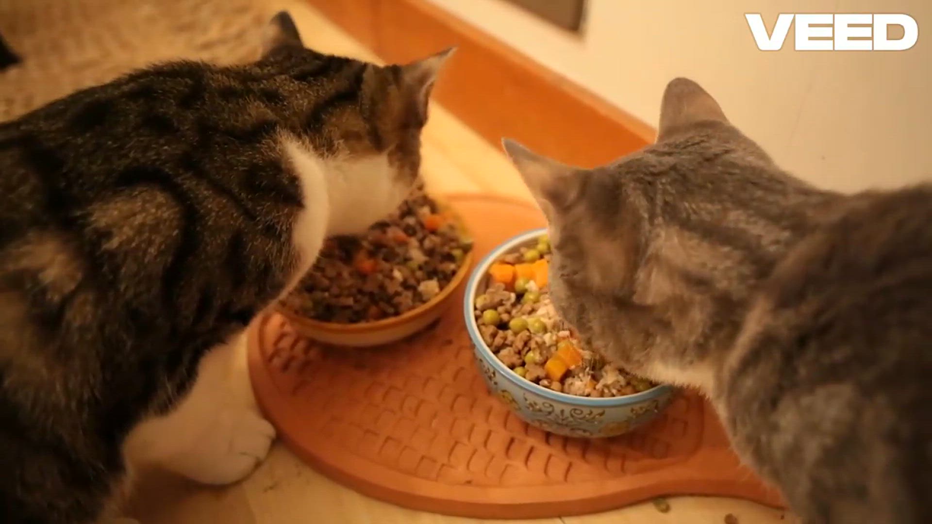 Video thumbnail for The Ultimate Guide to Pet Food: Keeping Your Furry Friends Healthy and Happy