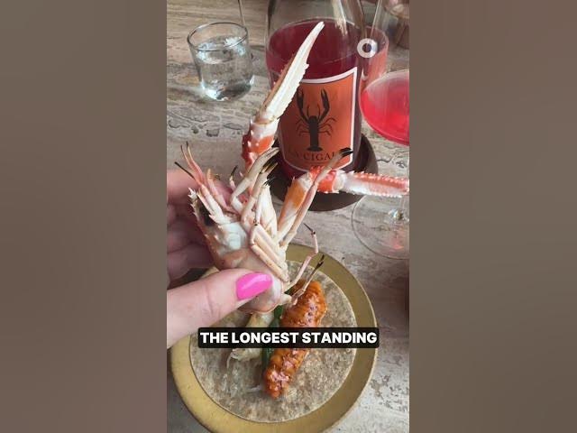 Video thumbnail for The UK's ONLY Michelin-starred Mexican Restaurant 🌮