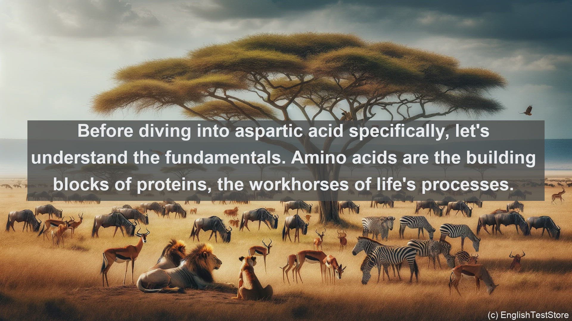 'Video thumbnail for Aspartic acid in science  definition and examples'