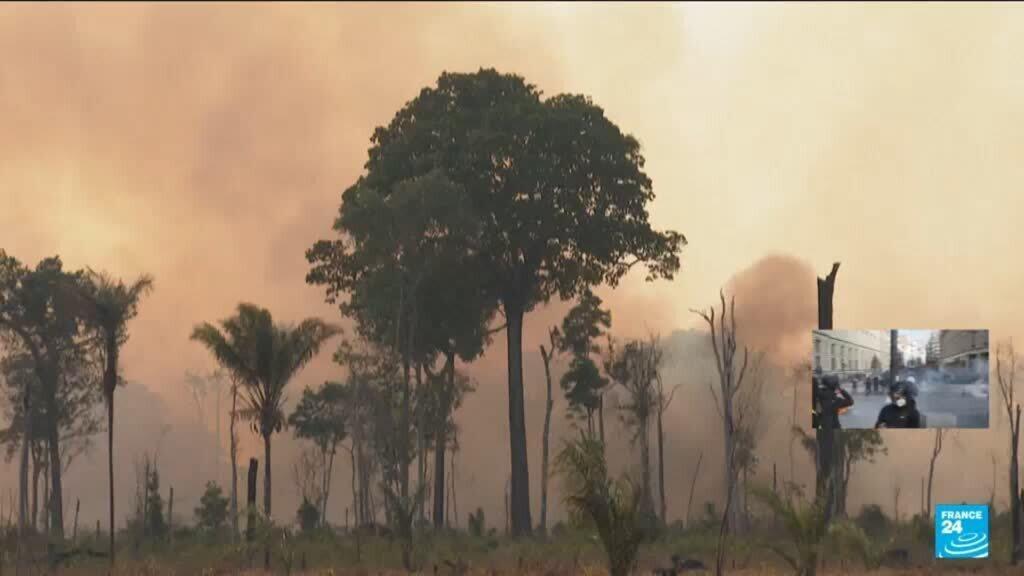 Video thumbnail for Brazil: Amazon deforestation at 40-year low